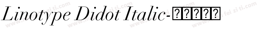Linotype Didot Italic字体转换